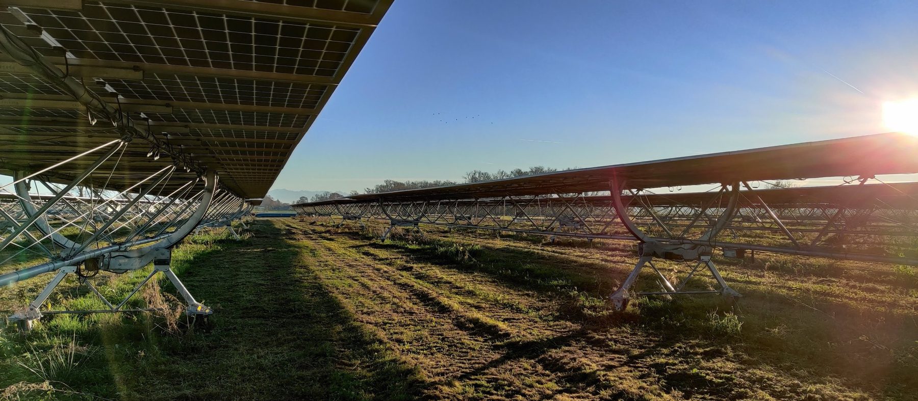 Rangées de trackers photovoltaïques en exploitation, vues depuis le sol au lever du soleil